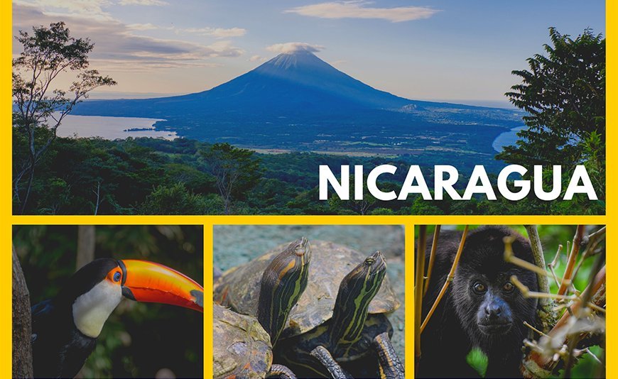 La faune et la flore au Nicaragua 